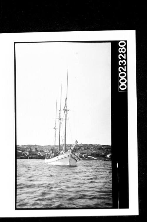 Three masted schooner CORINGLE