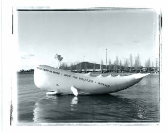 Willie the blow up sperm whale, Lake Burley Griffin