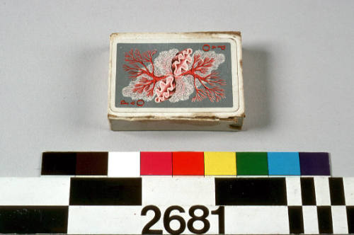 P&O deck of playing cards featuring red coral motif on a silver background