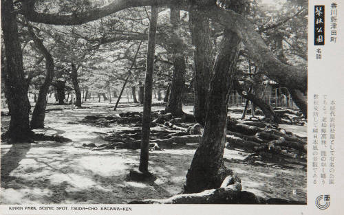 View of Kinrin Park, Japan