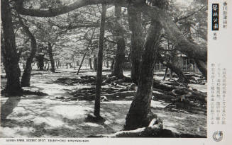 View of Kinrin Park, Japan