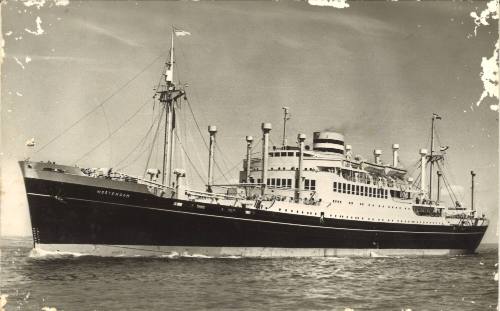 Postcard depicting MV WESTERDAM