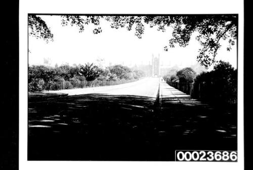 Man walking on side of a road