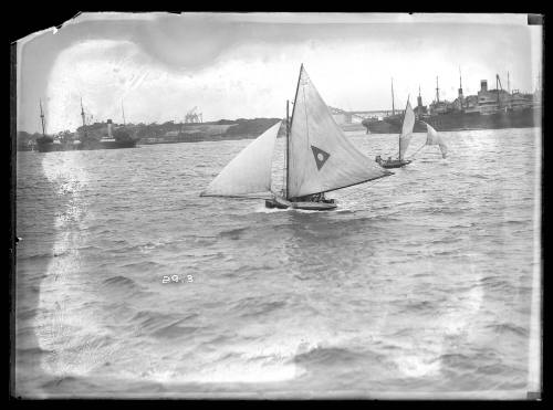 Sloops on Sydney Harbour, inscribed 2913