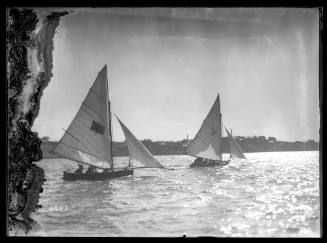 Two sloops on Sydney Harbour, inscribed 2923