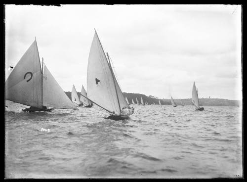 18-footers on Sydney Harbour, inscribed 3048