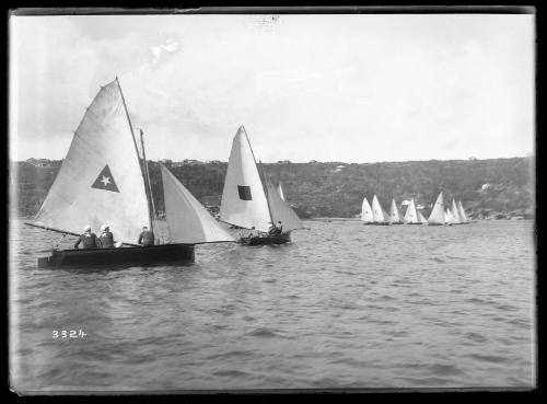 Sloops on Sydney Harbour, inscribed 3324