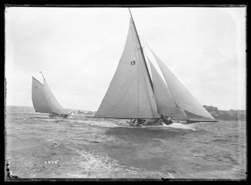 Sloops on Sydney Harbour, inscribed 3375