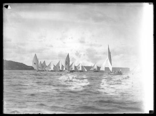 Fleet of 18-footers on Sydney Harbour