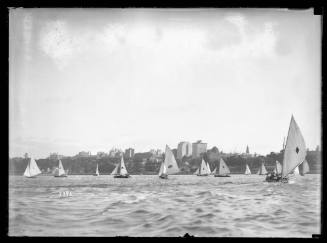 Fleet of 18-foot skiffs in Farm Cove