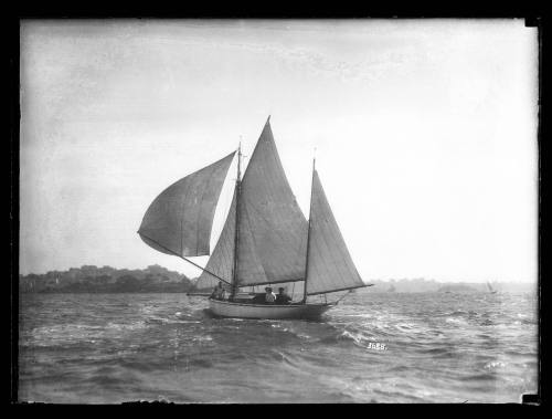 Coach-house cruiser on Sydney Harbour