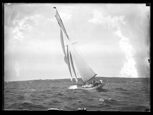 Sailing vessel on Sydney Harbour, inscribed 3710