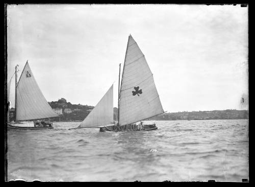 Sailing vessel on Sydney Harbour, inscribed 3716