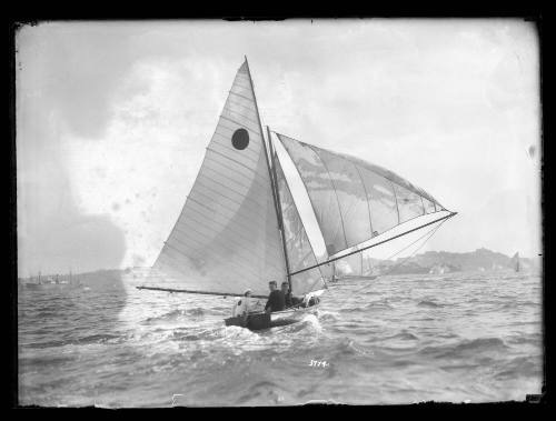 Sailing vessel on Sydney Harbour, inscribed 3774