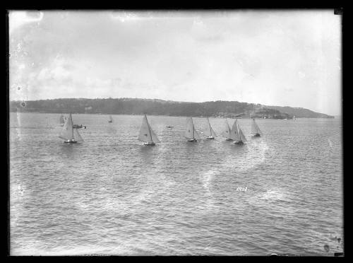 Sloops on Sydney Harbour, inscribed 3902