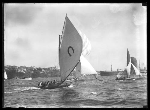 Three 18-footers on Sydney Harbour inscribed 3931