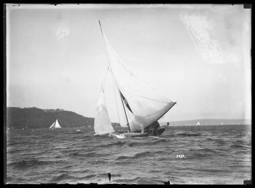 18-footer ARLINE sailing on Sydney Harbour on Queen of the Harbour day January 1931