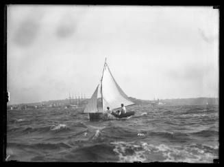 Cadet dinghy D3 on Sydney Harbour, inscribed 3951