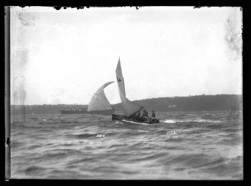 16-foot skiff with a winged 'A" sail insignia sails up harbour with Taronga Zoo in distance