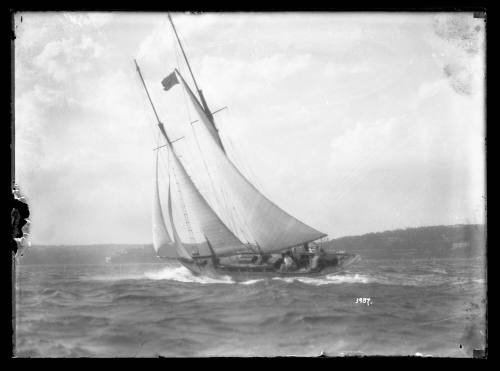 Schooner making good speed on Sydney Harbour