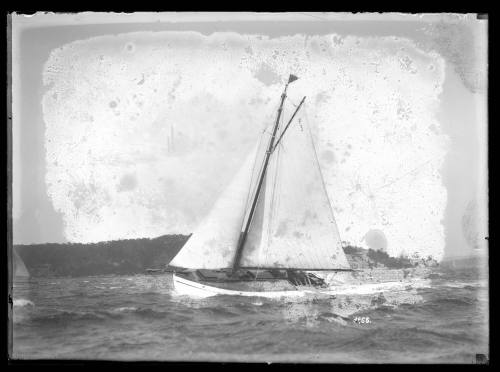 Sailing vessel on Sydney Harbour, inscribed 3988