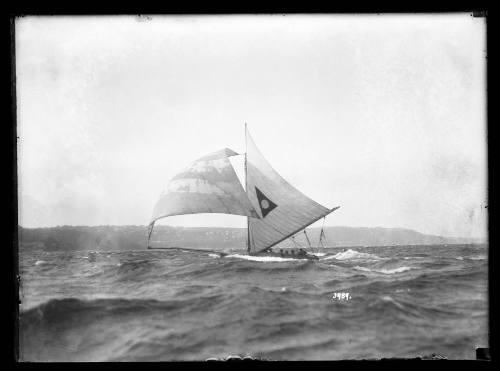 Sailing vessel on Sydney Harbour, inscribed 3989