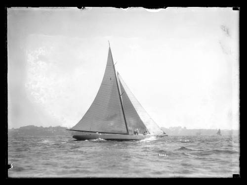 RAWHITI on Sydney Harbour