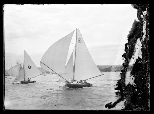 Two skiffs racing on Sydney Harbour