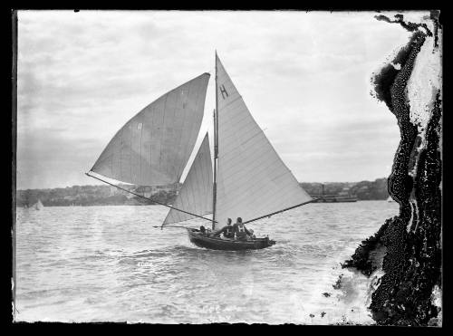 Skiff under sail on Sydney Harbour