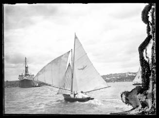 Skiff and anchored steamer on Sydney Harbour