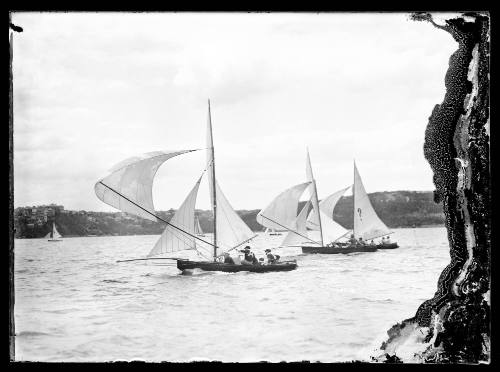 Three skiffs racing on Sydney Harbour