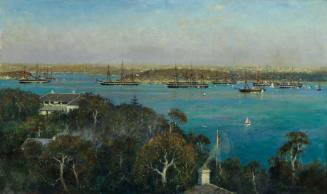 The Flying Squadron in Sydney Harbour in 1869