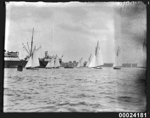 Seven sailing boats in Sydney Harbour