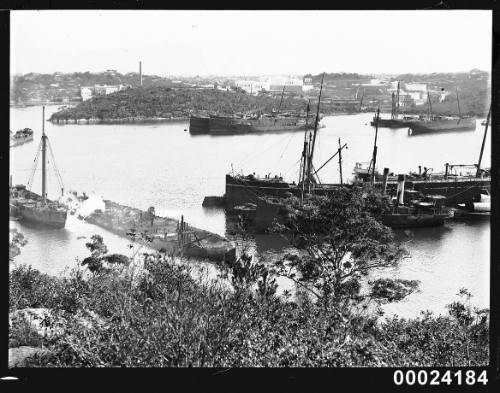 Coastal steamers at anchor in Berry's Bay