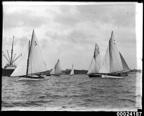 Seven sailing boats in a harbour