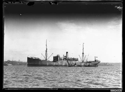 Portside view of a steam cargo ship at anchor in the harbour