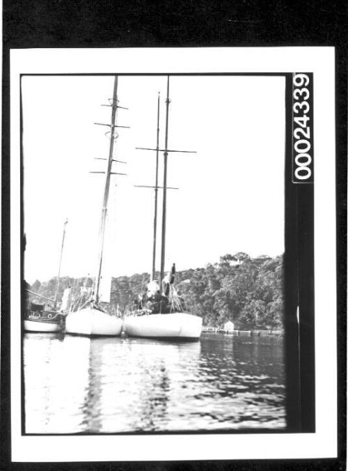 Bow view of anchored yachts on still harbour waters