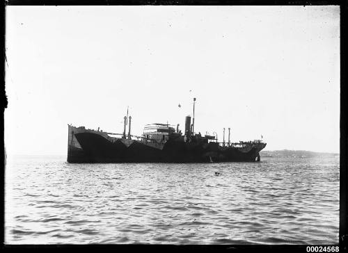 WAR OSTRICH anchored in a harbour