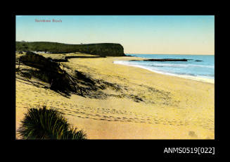 Narrabeen Beach