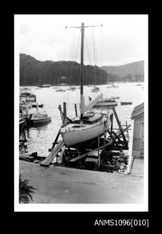 Centre board cutter WINDWARD at Church Point