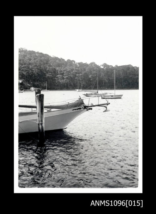 TAHI WAITANGI starboard bow detail