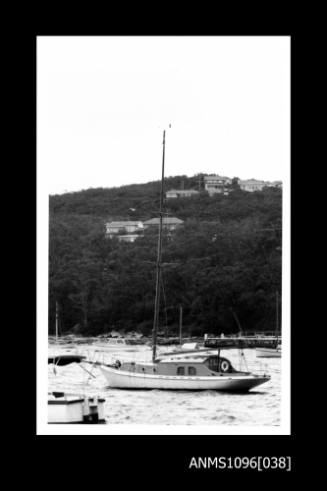 Cutter WANDERER in North Harbour 1968