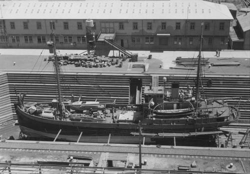 HMAS WYATT EARP in dry dock being repaired, 19 January 1948