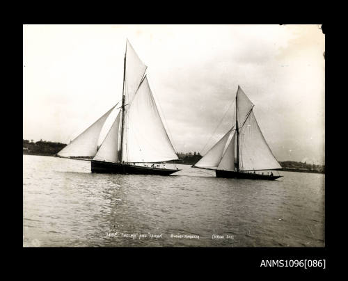 The yachts THELMA and IDUNA in Sydney Harbour