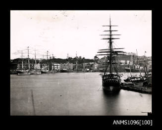 WHITEHALL and HARLAW at Circular Quay