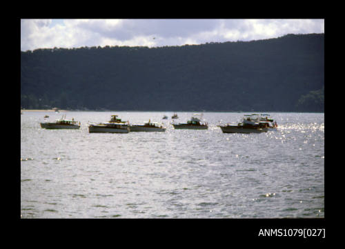 Image depicting a group of Halvorsen vessels