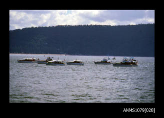 Image depicting a group of Halvorsen vessels