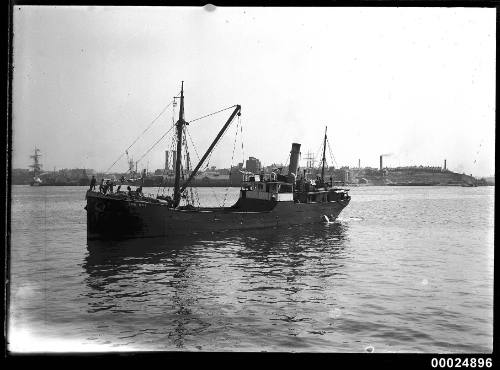 SS THE BAT, coastal ship in harbour