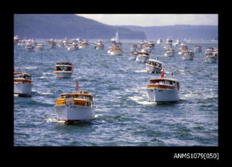 Image depicting Halvorsen vessel IDLE TIMES in the lead, followed by ISOBEL-T at Sydney Harbour