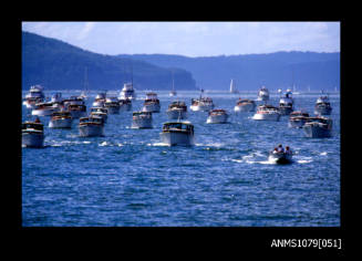 Image depicting a group of Halvorsen vessels at Sydney Harbour